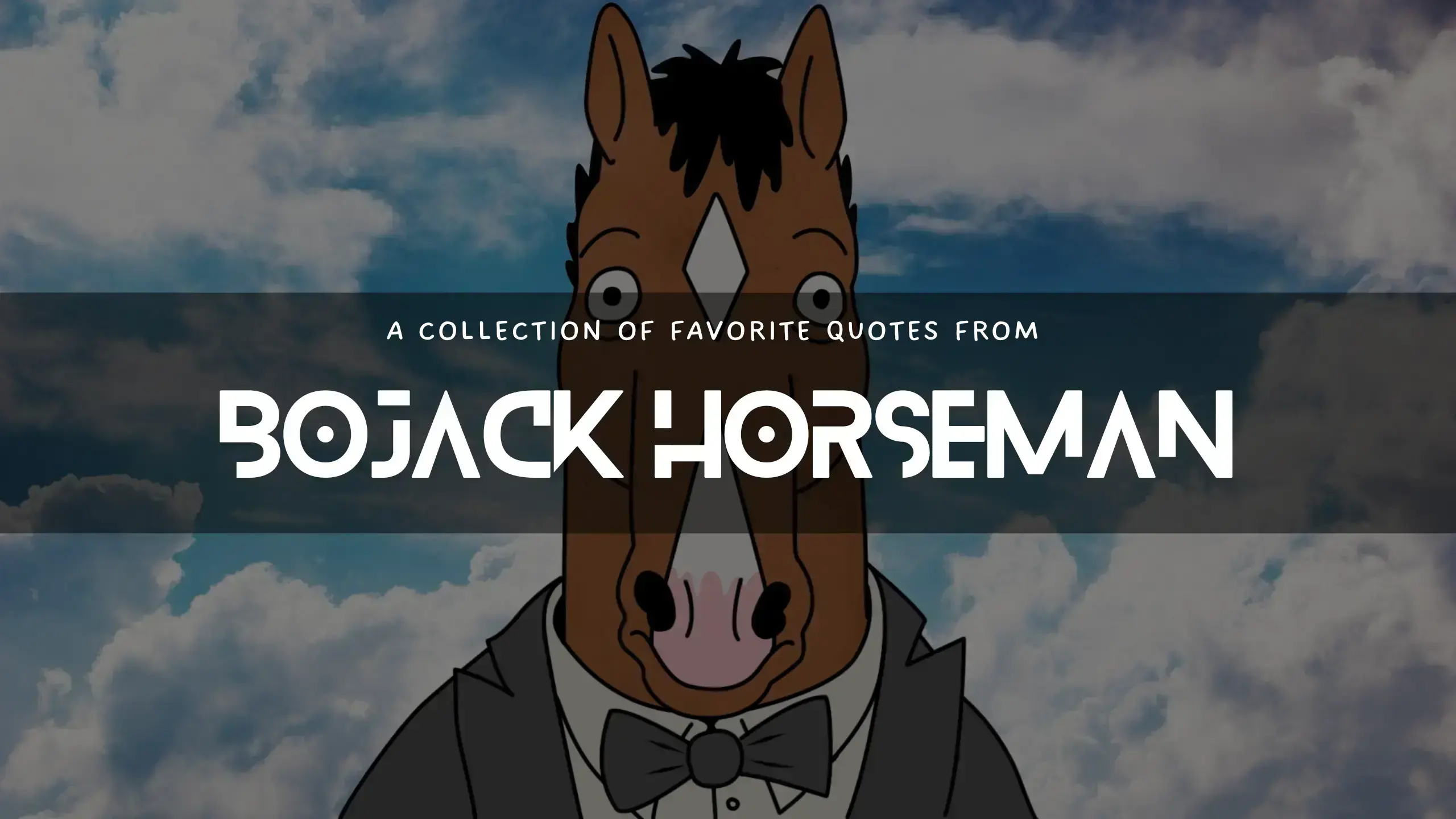 Awesome quotes from Bojack Horseman